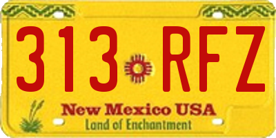 NM license plate 313RFZ
