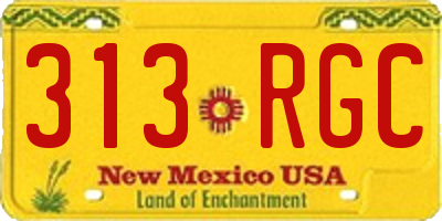 NM license plate 313RGC