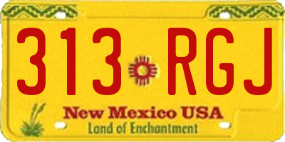 NM license plate 313RGJ