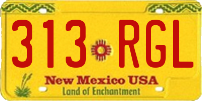 NM license plate 313RGL
