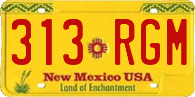 NM license plate 313RGM