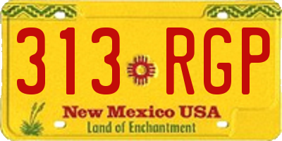 NM license plate 313RGP