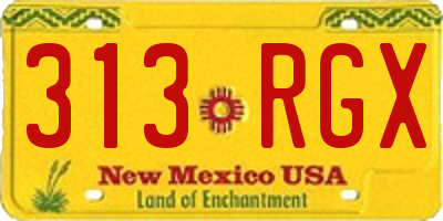 NM license plate 313RGX