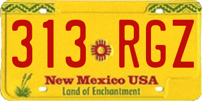 NM license plate 313RGZ