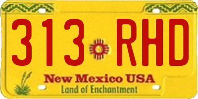 NM license plate 313RHD