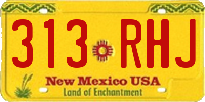 NM license plate 313RHJ