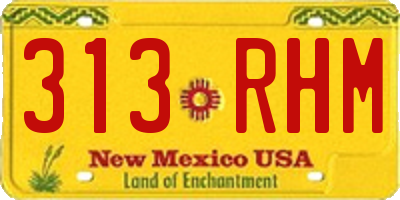 NM license plate 313RHM