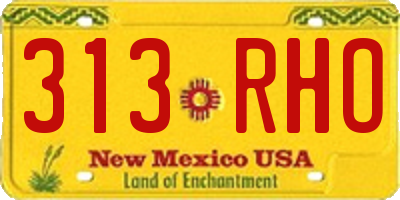 NM license plate 313RHO