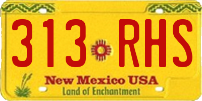 NM license plate 313RHS