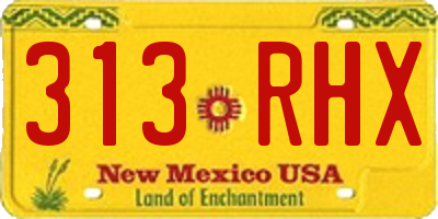 NM license plate 313RHX