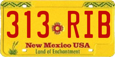 NM license plate 313RIB