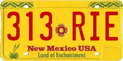 NM license plate 313RIE
