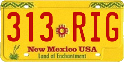 NM license plate 313RIG