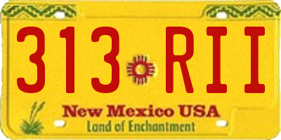 NM license plate 313RII