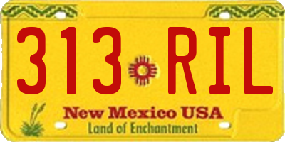NM license plate 313RIL