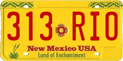 NM license plate 313RIO