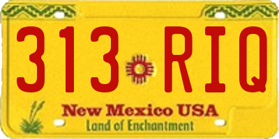 NM license plate 313RIQ