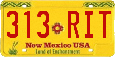 NM license plate 313RIT