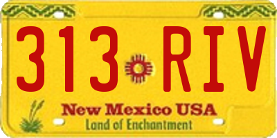 NM license plate 313RIV