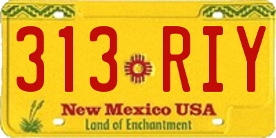 NM license plate 313RIY