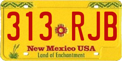 NM license plate 313RJB