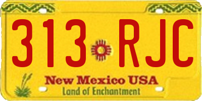 NM license plate 313RJC