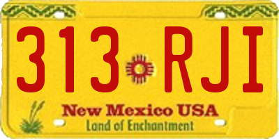NM license plate 313RJI
