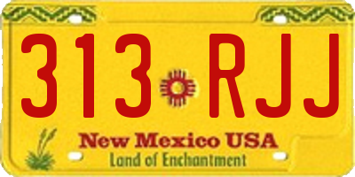 NM license plate 313RJJ