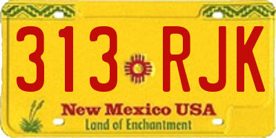 NM license plate 313RJK