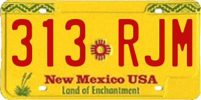 NM license plate 313RJM