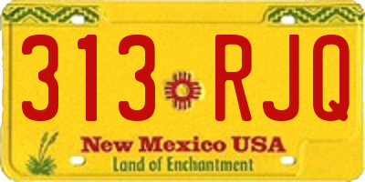 NM license plate 313RJQ