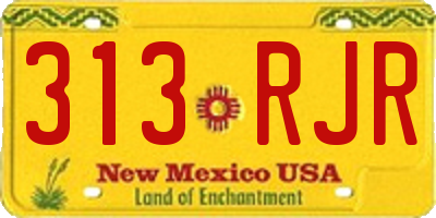 NM license plate 313RJR
