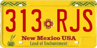 NM license plate 313RJS
