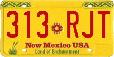 NM license plate 313RJT
