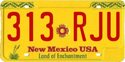 NM license plate 313RJU