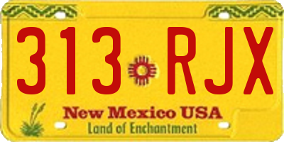 NM license plate 313RJX