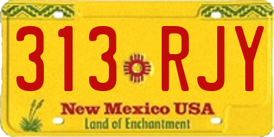 NM license plate 313RJY