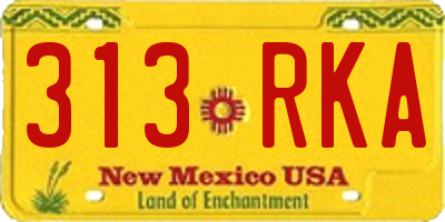 NM license plate 313RKA