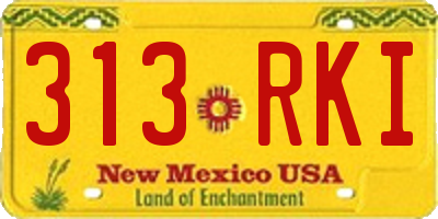 NM license plate 313RKI