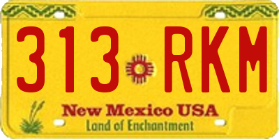 NM license plate 313RKM