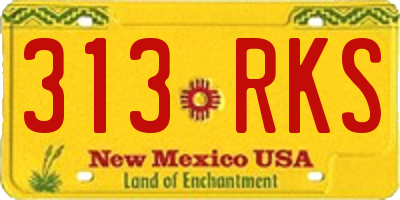 NM license plate 313RKS