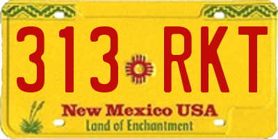 NM license plate 313RKT