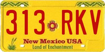 NM license plate 313RKV