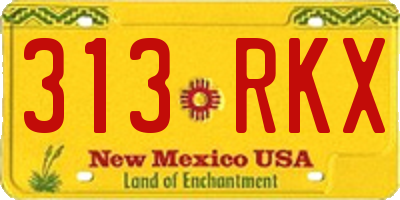 NM license plate 313RKX
