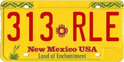 NM license plate 313RLE