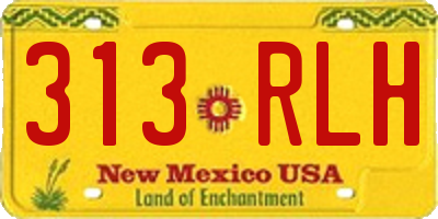 NM license plate 313RLH