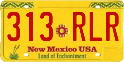 NM license plate 313RLR