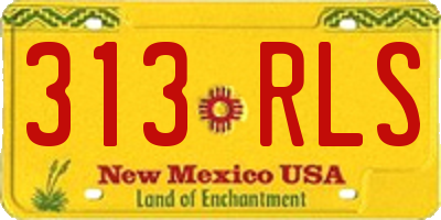 NM license plate 313RLS