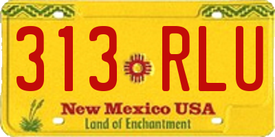 NM license plate 313RLU