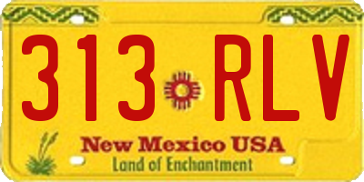NM license plate 313RLV